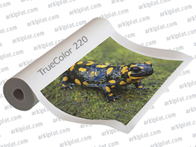 Papel para Látex - Posters Latex