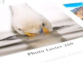 Hahnemühle Photo Luster 260g 